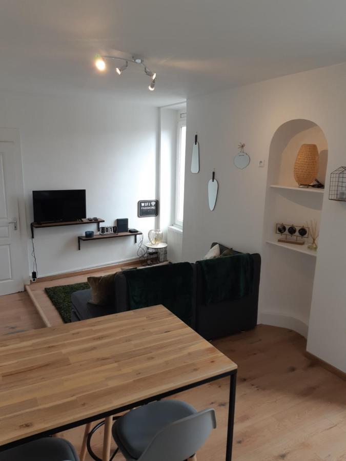 Cosy T2 31M2 - Centre-Ville Dijon - Gare Et Darcy Экстерьер фото